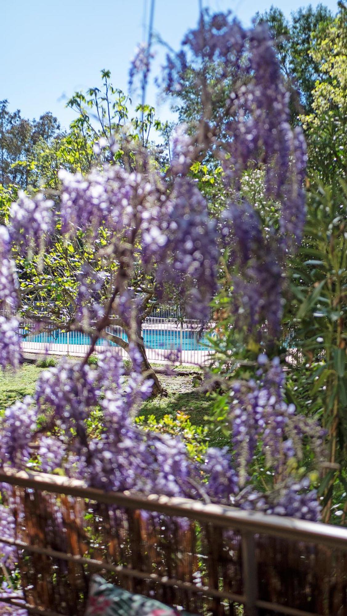 Casa Laura -Parking - Pool Apartment แซ็ง-ทรอเป ภายนอก รูปภาพ